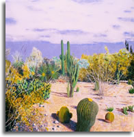 Desert Garden, Tempe 48 x 36ins (120 x 90cm)
